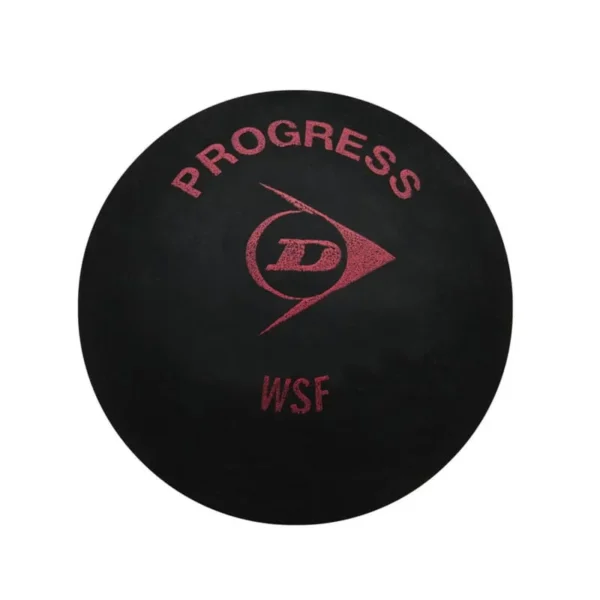 pelota-de-squash-dunlop-punto-rojo-progress